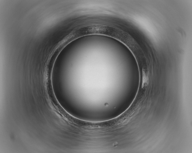 X0000111200435200907011436