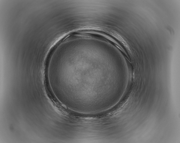 X0000111200436200907011436