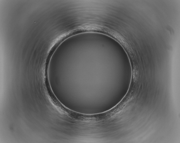 X0000111200438200907011437