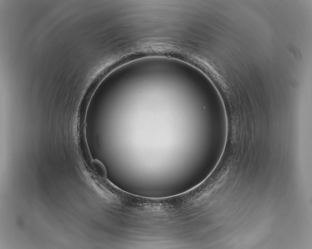 X0000111200439200907011437