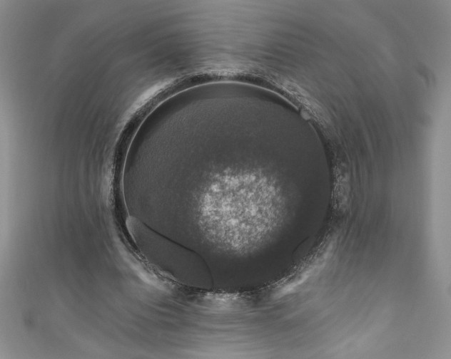 X0000111200440200907011437