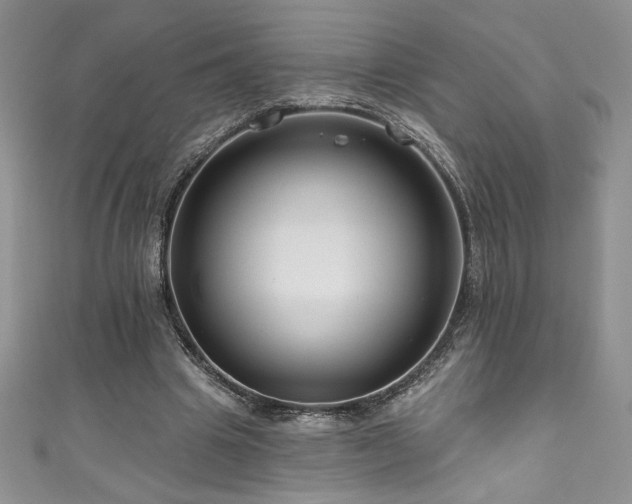 X0000111200441200907011437