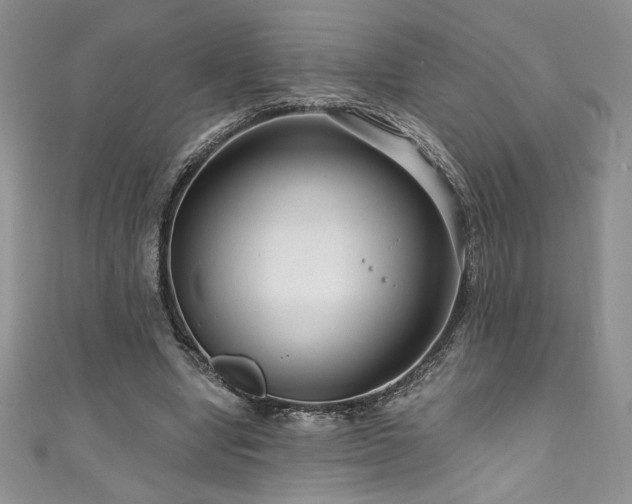 X0000111200442200907011437