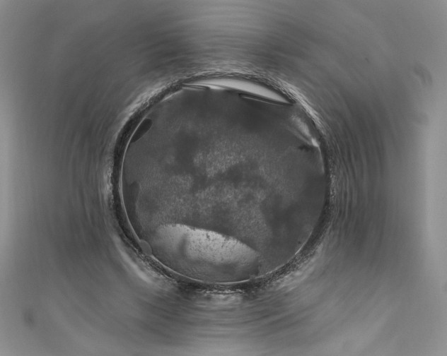 X0000111200443200907011437