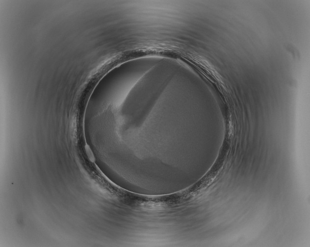 X0000111200444200907011437