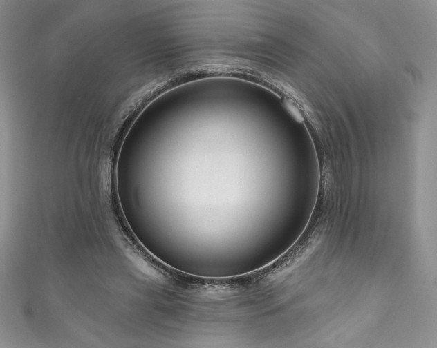 X0000111200445200907011437