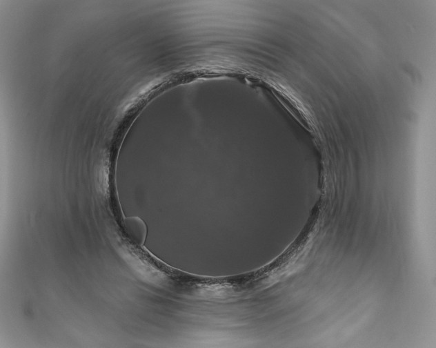 X0000111200446200907011437