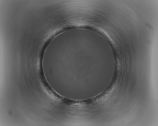 X0000111200447200907011437