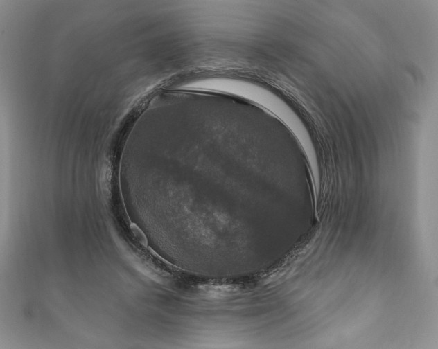 X0000111200448200907011437