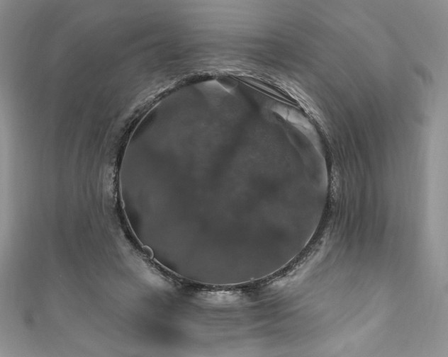 X0000111200449200907011437