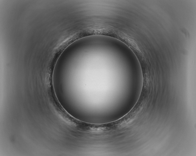 X0000111200450200907011437