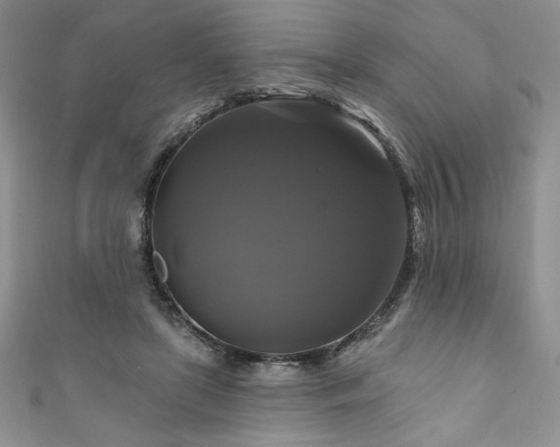 X0000111200451200907011437