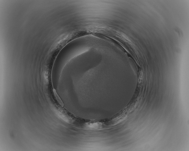 X0000111200452200907011437