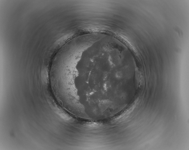 X0000111200453200907011437