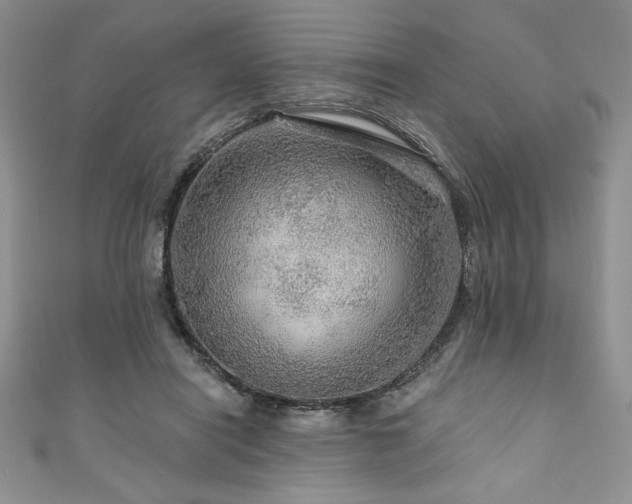 X0000111200454200907011437