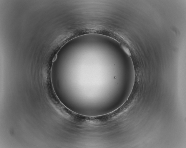 X0000111200455200907011437