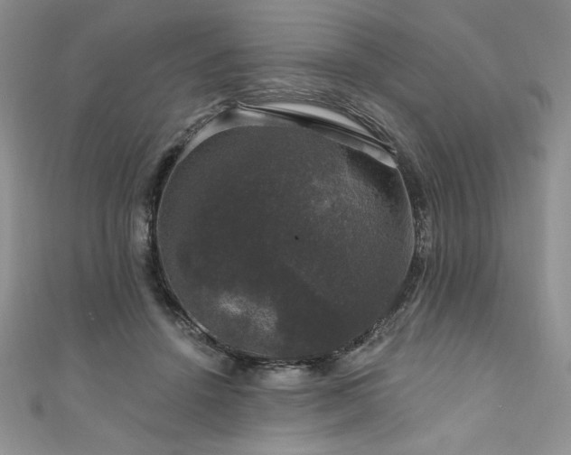 X0000111200456200907011437