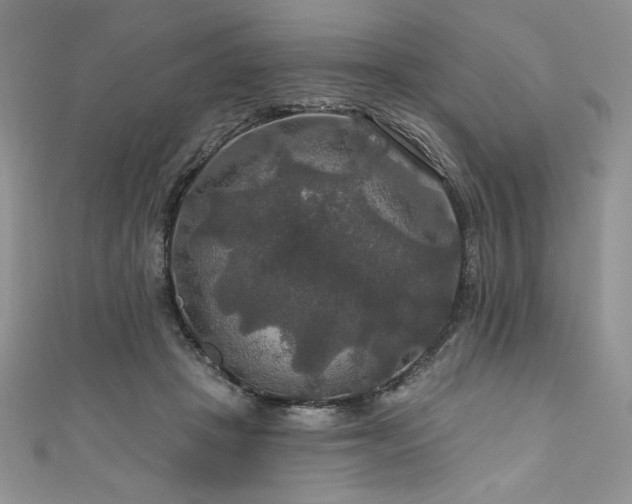 X0000111200457200907011437