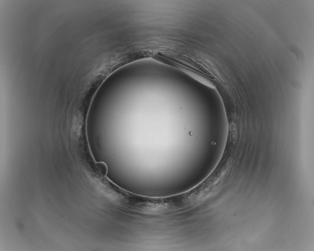 X0000111200458200907011437