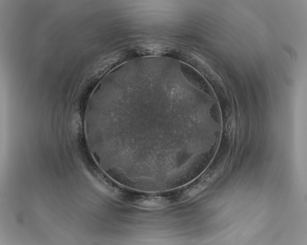 X0000111200459200907011437