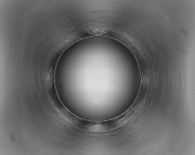 X0000111200460200907011437