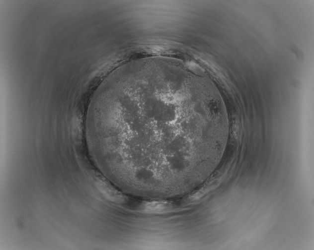 X0000111200461200907011437