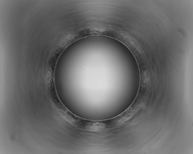 X0000111200463200907011437