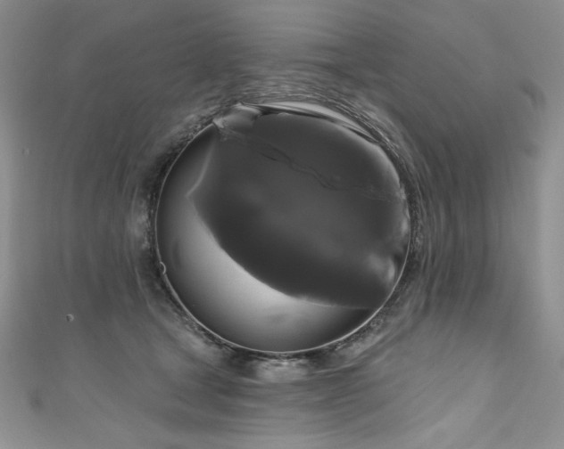 X0000111200465200907011437