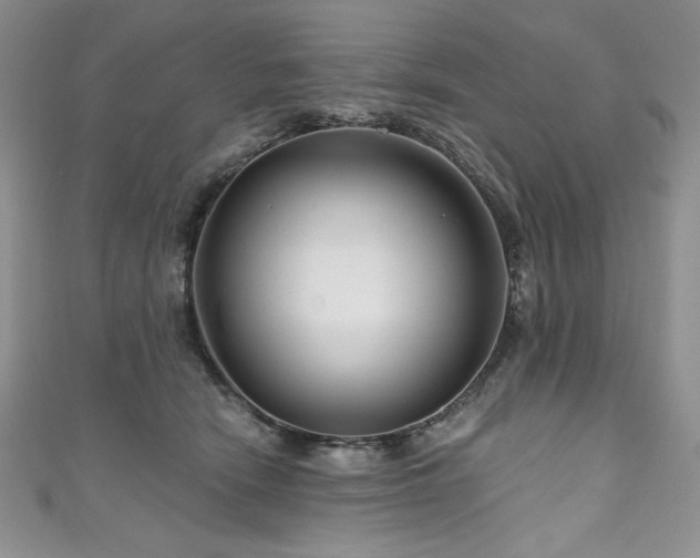 X0000111200466200907011437