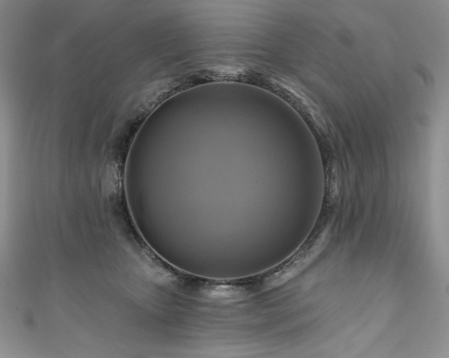 X0000111200467200907011437