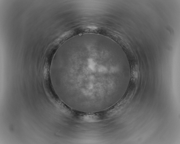 X0000111200468200907011437