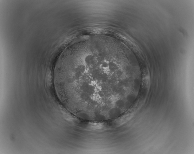 X0000111200469200907011437