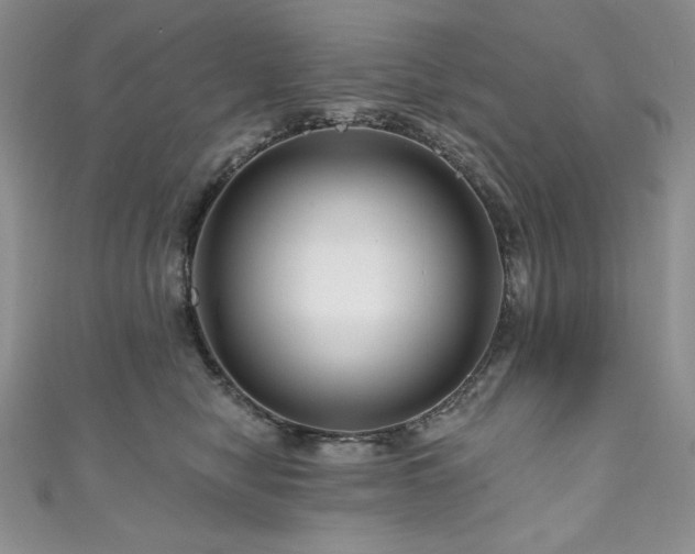 X0000111200470200907011437