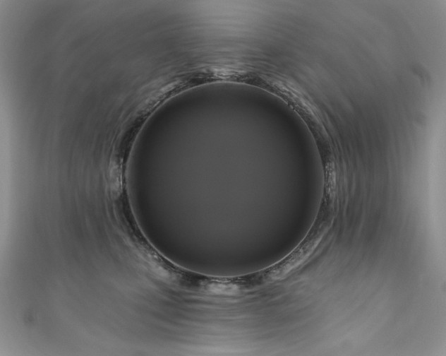 X0000111200471200907011437