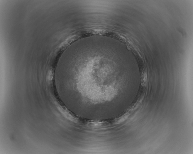 X0000111200472200907011437