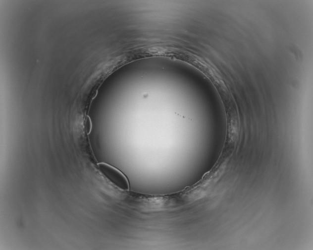 X0000111200473200907011437