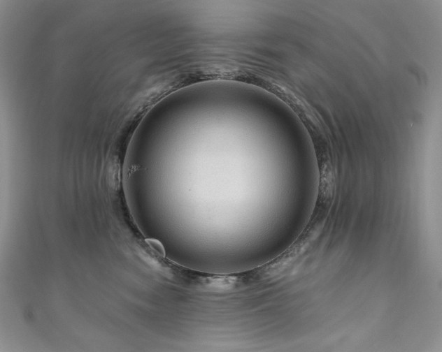 X0000111200474200907011437