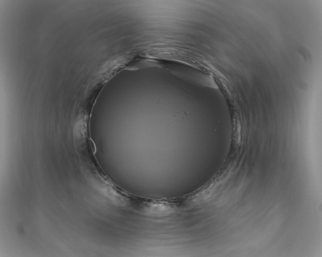 X0000111200475200907011437