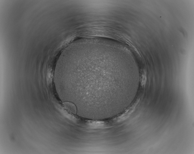 X0000111200476200907011437