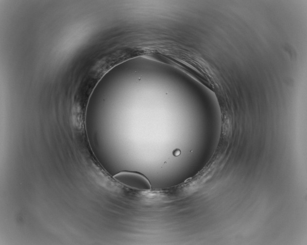 X0000111200477200907011437