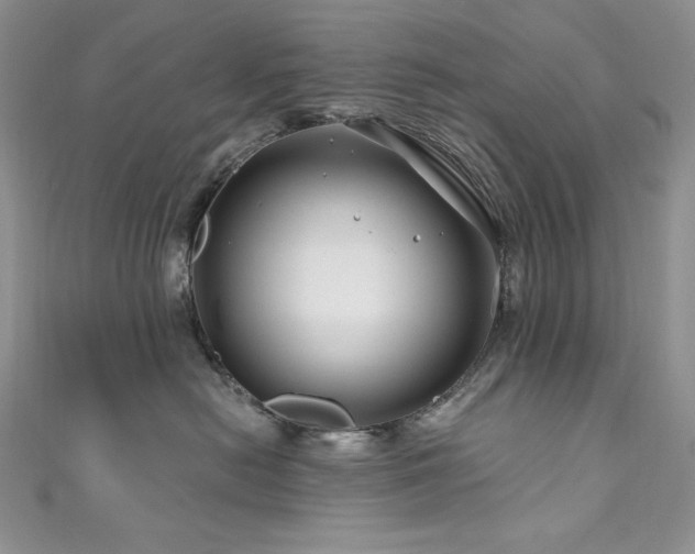 X0000111200478200907011437