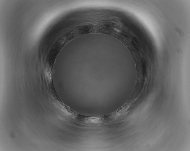 X0000111200479200907011437