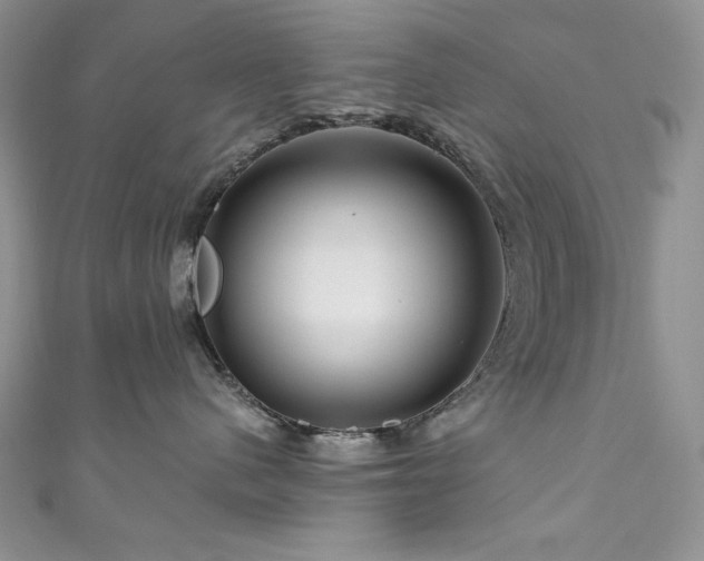 X0000111200480200907011437