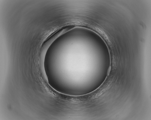 X0000111200481200907011436