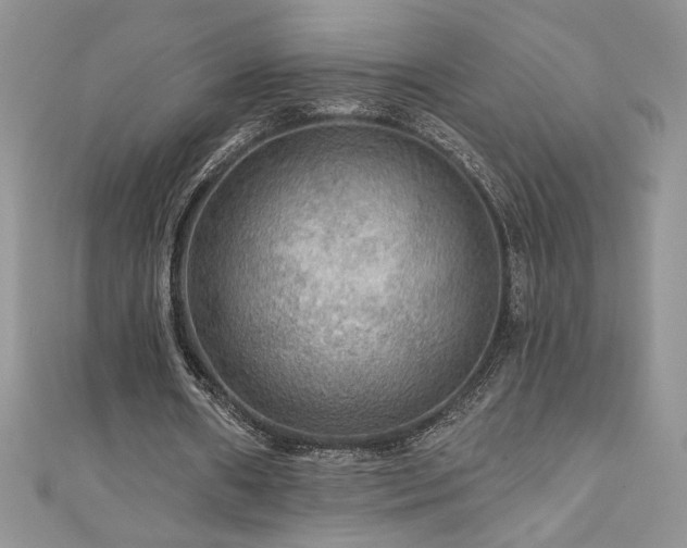 X0000111200482200907011436