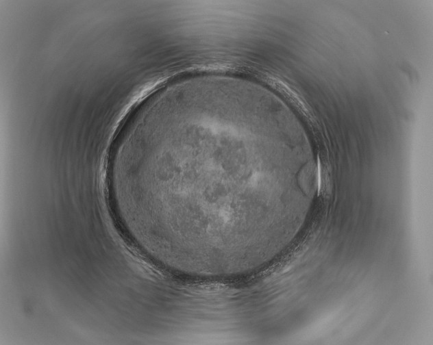 X0000111200483200907011436