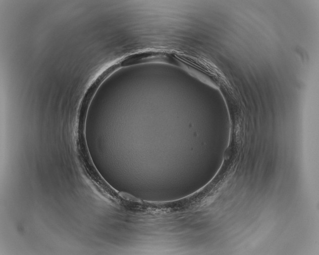 X0000111200484200907011436