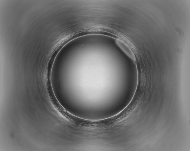 X0000111200485200907011436