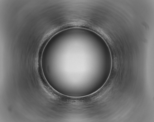 X0000111200486200907011436