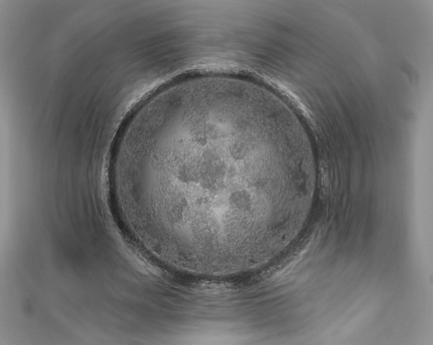 X0000111200487200907011436